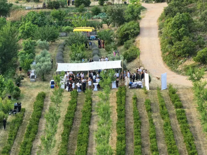 Arches Castriotes : ce projet d’agroforesterie introduit 2.000 arbres 5 - Les indiscretions Arches Castriotes