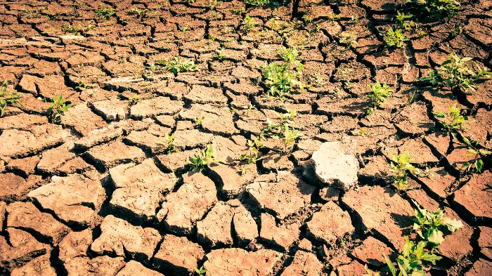 Face à la sécheresse, l'agriculture occitane veut devenir un « Eldorad’eau » 5 - Les indiscretions Design sans titre 4 - Les indiscretions