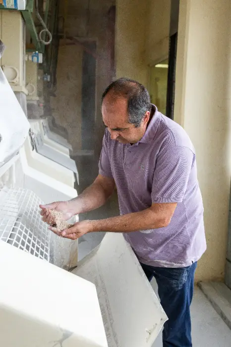 Moulins du Sud : une nouvelle filière meunerie en Occitanie 1 - Les indiscretions Moulins du Sud Arterris