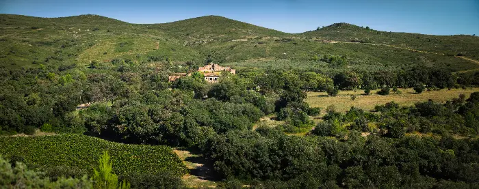 Advini cible les vins effervescents et sans alcool via une entrée au capital de Cordier 3 - Les indiscretions Mas de Lunès
