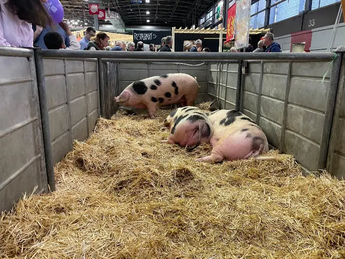 Au Salon International de l’Agriculture, producteurs et exposants font grise mine 1 - Les indiscretions WhatsApp Image 2026 02 27 at 12.41.29 16 - Les indiscretions